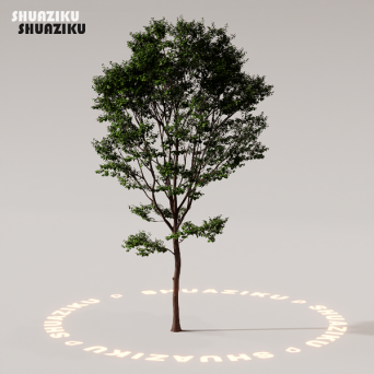 图片[83]-D5渲染器室外植物树木模型下载88个-刷子库