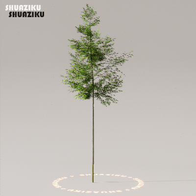 图片[42]-D5渲染器室外植物树木模型下载50个-刷子库