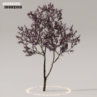 图片[36]-D5渲染器室外植物树木模型下载50个-刷子库