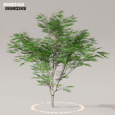 图片[41]-D5渲染器室外植物树木模型下载50个-刷子库