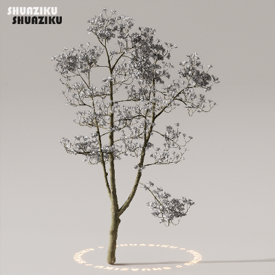 图片[44]-D5渲染器室外植物树木模型下载50个-刷子库