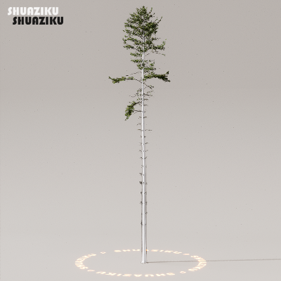 图片[46]-D5渲染器室外植物树木模型下载50个-刷子库