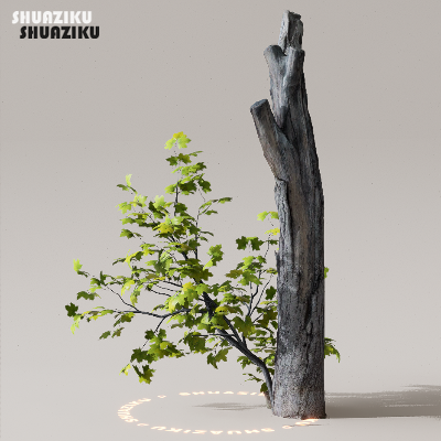 图片[49]-D5渲染器室外植物树木模型下载50个-刷子库