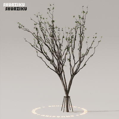 图片[15]-D5渲染器室外植物树木模型下载50个-刷子库