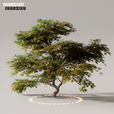 图片[32]-D5渲染器室外植物树木模型下载50个-刷子库