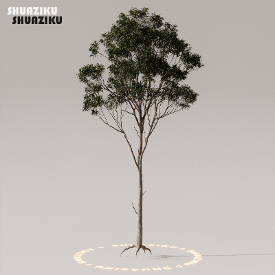 图片[33]-D5渲染器室外植物树木模型下载50个-刷子库