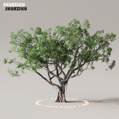 图片[43]-D5渲染器室外植物树木模型下载50个-刷子库