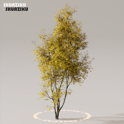 图片[33]-D5渲染器室外植物树木模型下载50个-刷子库