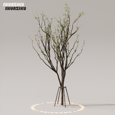 图片[48]-D5渲染器室外植物树木模型下载50个-刷子库