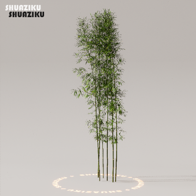 图片[12]-D5渲染器室外植物树木模型下载50个-刷子库