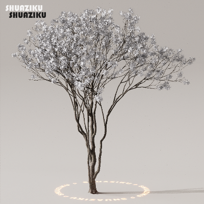 图片[13]-D5渲染器室外植物树木模型下载50个-刷子库