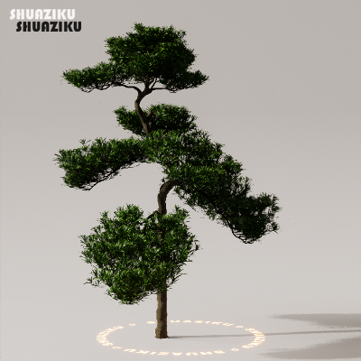 图片[24]-D5渲染器室外植物树木模型下载50个-刷子库