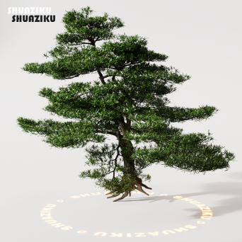 图片[19]-D5渲染器室外植物树木模型50个-刷子库