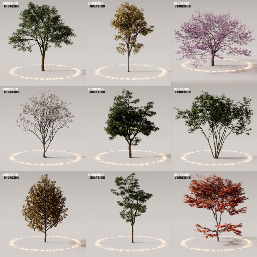 D5渲染器室外植物树木模型下载88个-刷子库