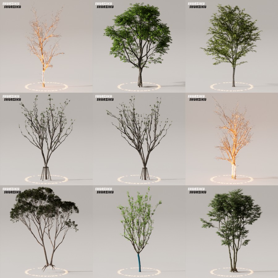 D5渲染器室外植物树木模型下载50个-刷子库