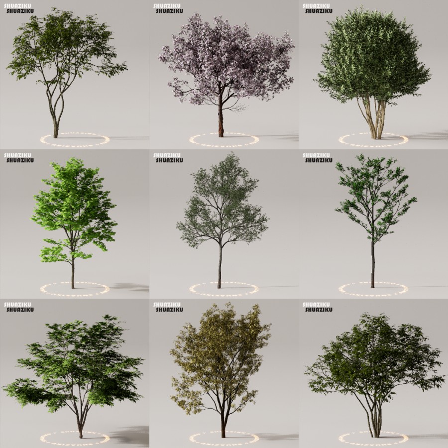 D5渲染器室外植物树木模型下载50个-刷子库