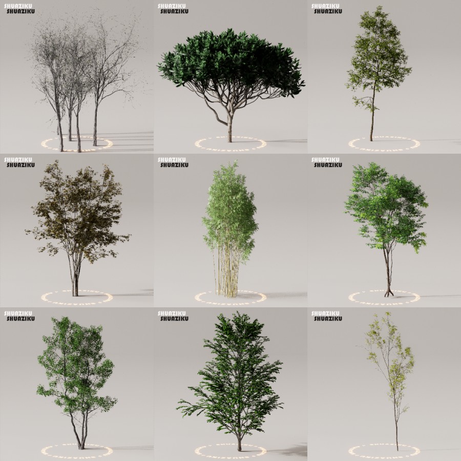 D5渲染器室外植物树木模型下载50个-刷子库