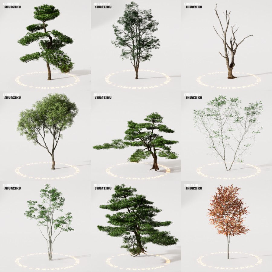 D5渲染器室外植物树木模型50个-刷子库